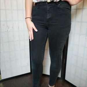 BDG High Rise Twig Grazer